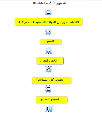 bntpal.com_143749210