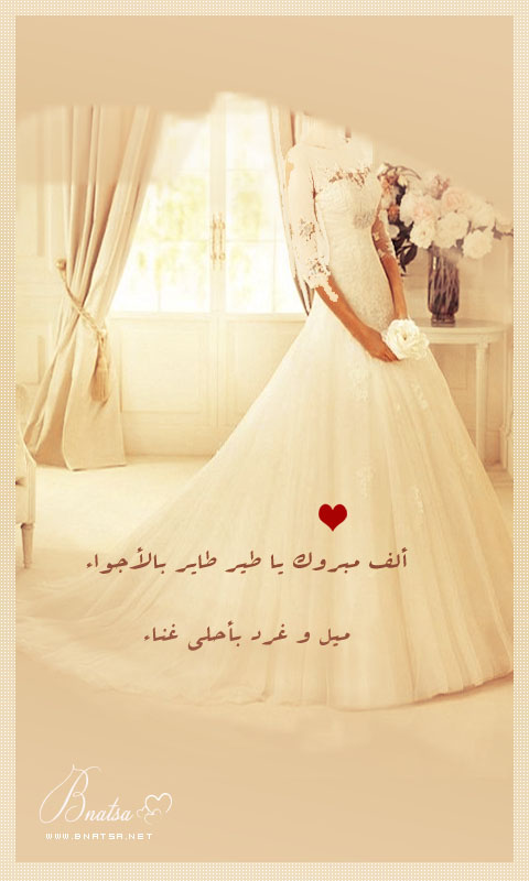 " bntpal.com_143749349