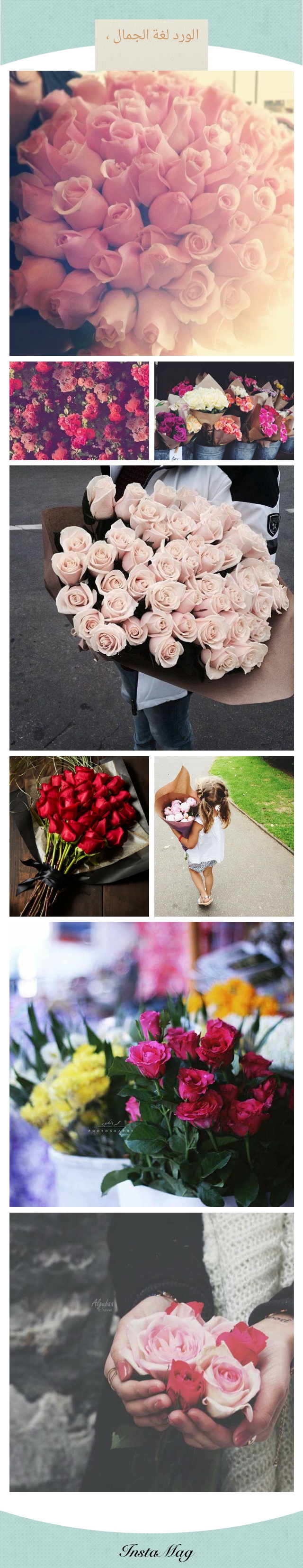  " bntpal.com_143779201
