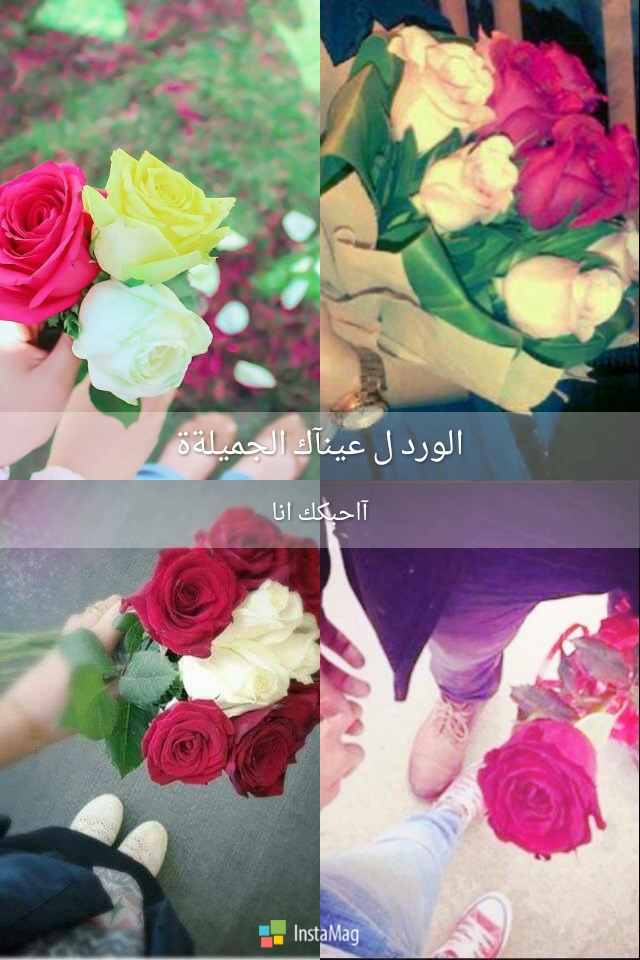  " bntpal.com_143779201