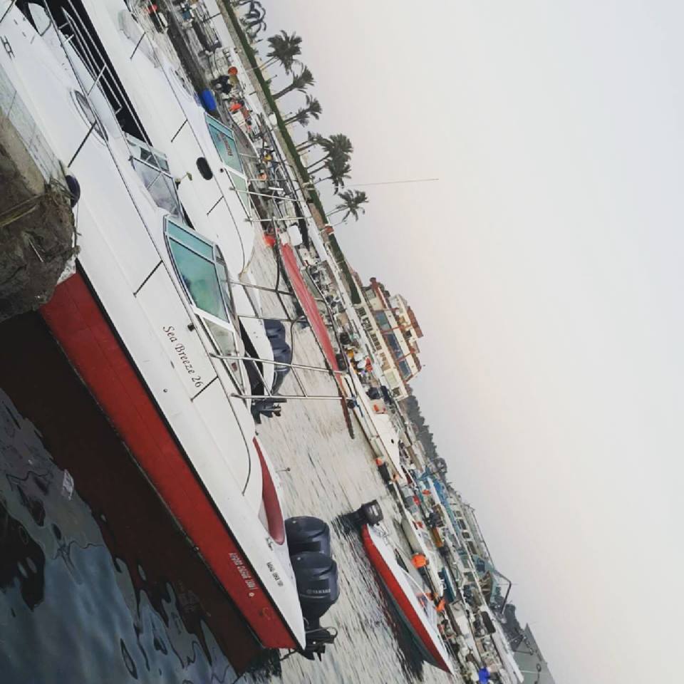  bntpal.com_143780226