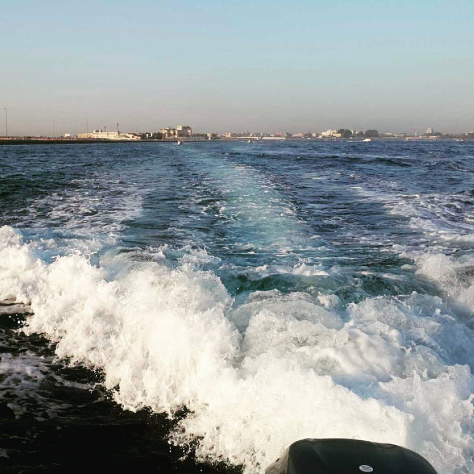  bntpal.com_143780226