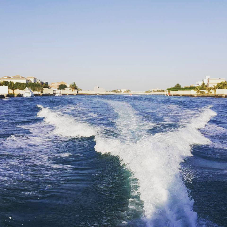  bntpal.com_143780226
