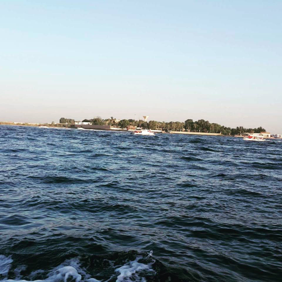  bntpal.com_143780226