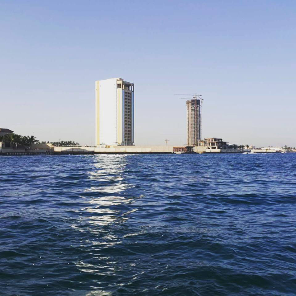  bntpal.com_143780226