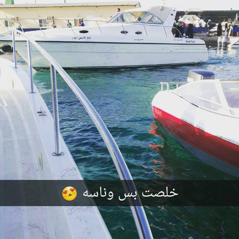  bntpal.com_143780318