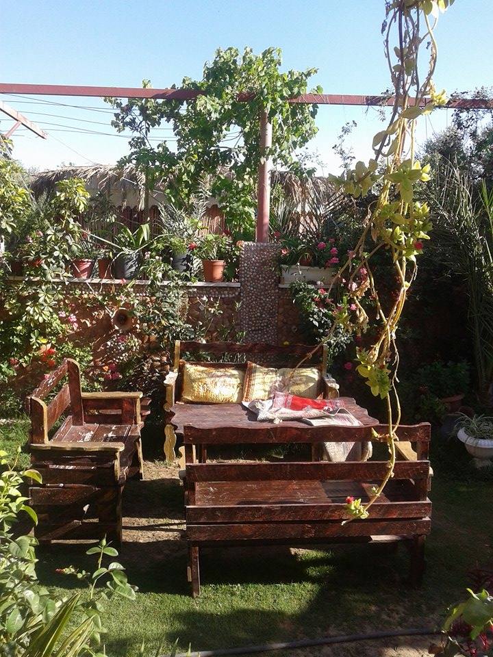 ♥ bntpal.com_143850138