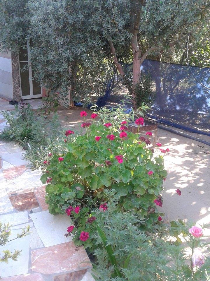 ♥ bntpal.com_143850174