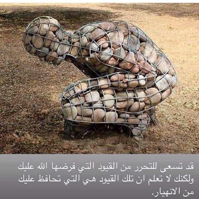 bntpal.com_143877268
