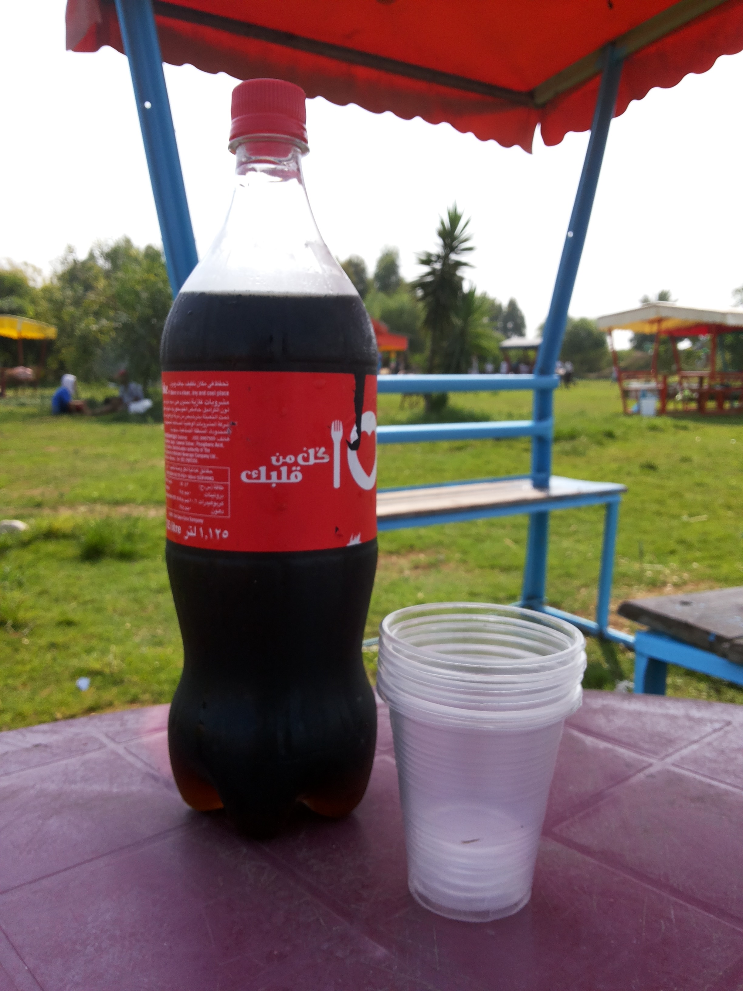 bntpal.com_143895425