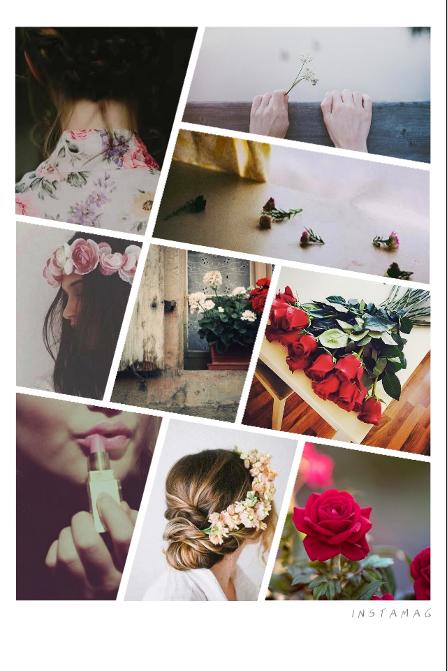  " " bntpal.com_143899964