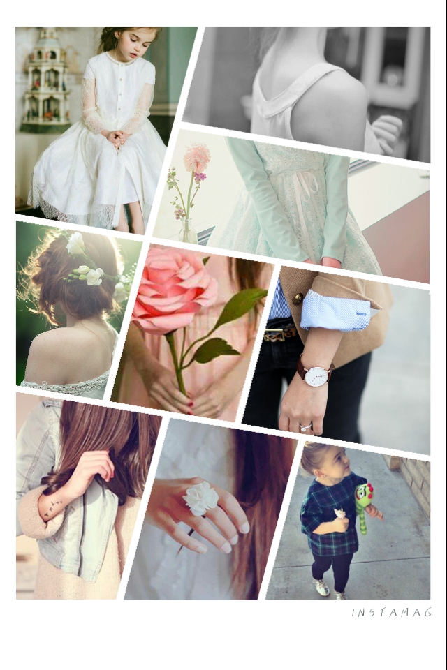  " " bntpal.com_143899964