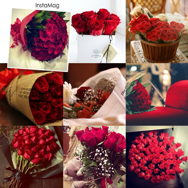 " bntpal.com_143900152