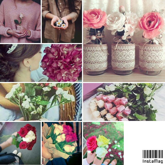 " bntpal.com_143900152