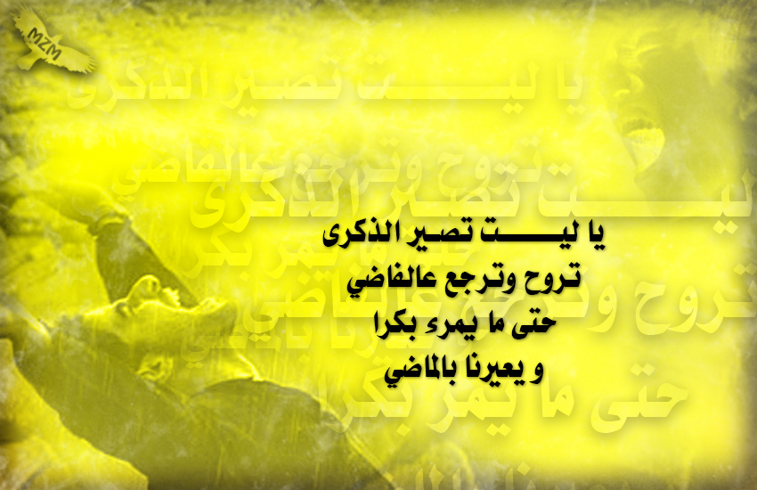 bntpal.com_143927847
