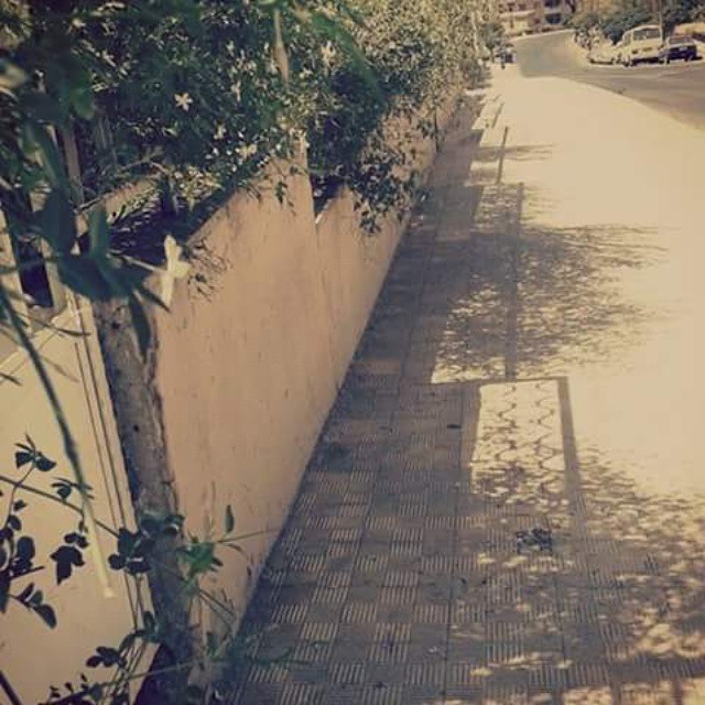" bntpal.com_143975474