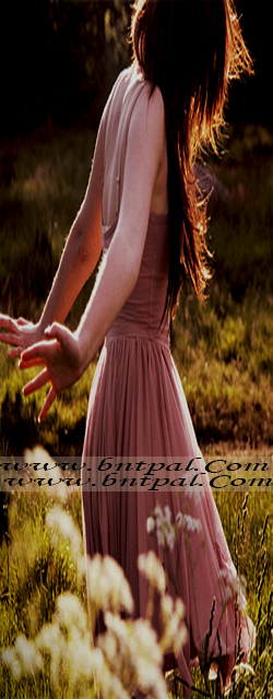    bntpal.com_144007164