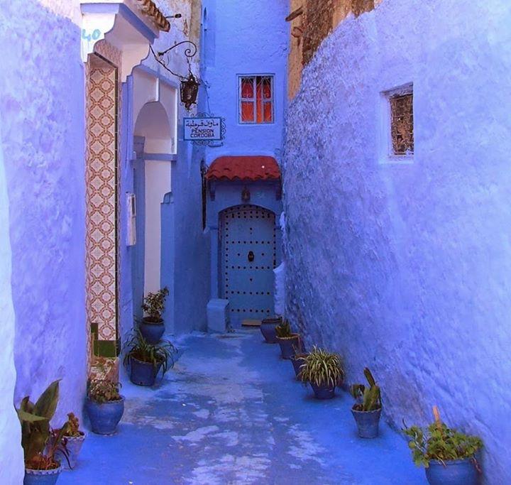 ♥ bntpal.com_144019741