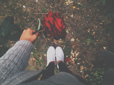♥ bntpal.com_144028066