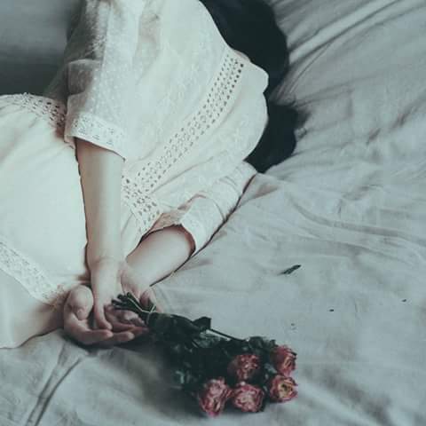 ❥ bntpal.com_144060372