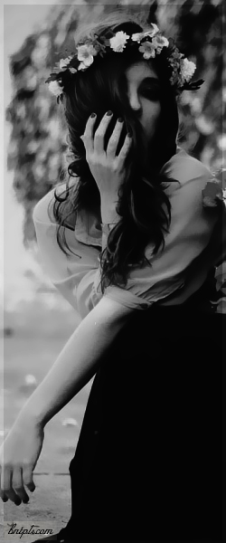  ✿ bntpal.com_144088587
