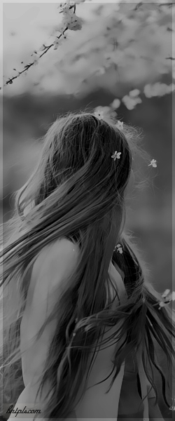  ✿ bntpal.com_144088587