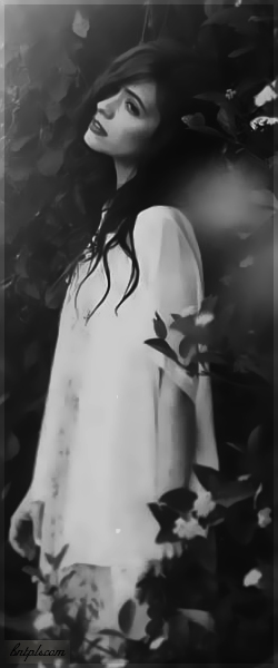  ✿ bntpal.com_144088587