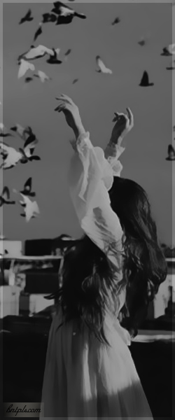  ✿ bntpal.com_144091474