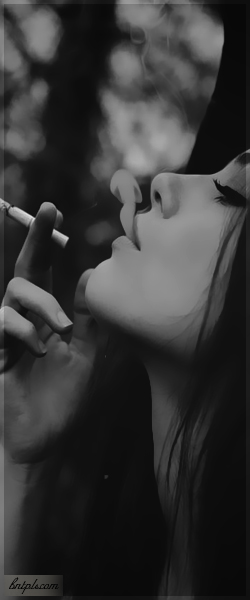  ✿ bntpal.com_144091474