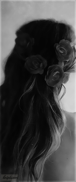  ✿ bntpal.com_144091474