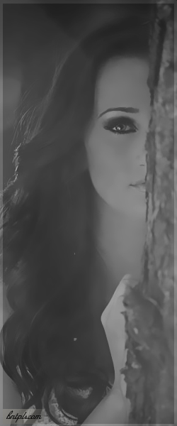  ✿ bntpal.com_144091514