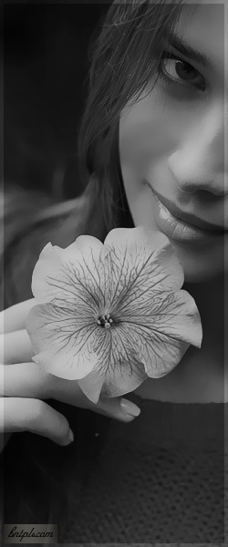  ✿ bntpal.com_144091514
