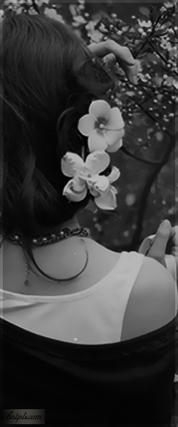  ✿ bntpal.com_144091515