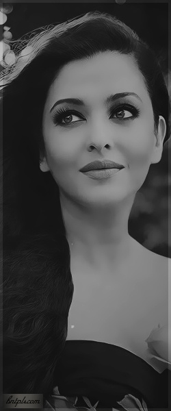  ✿ bntpal.com_144091515