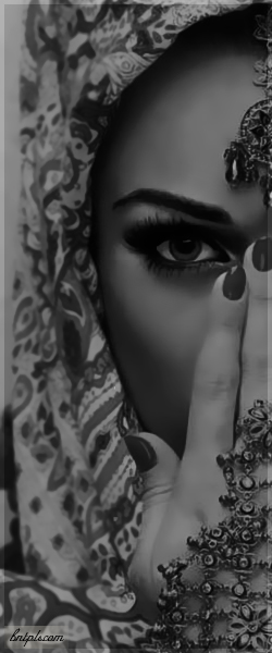  ✿ bntpal.com_144091515