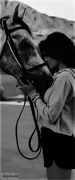  ✿ bntpal.com_144091549