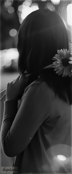  ✿ bntpal.com_144091549