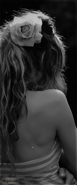  ✿ bntpal.com_144091549