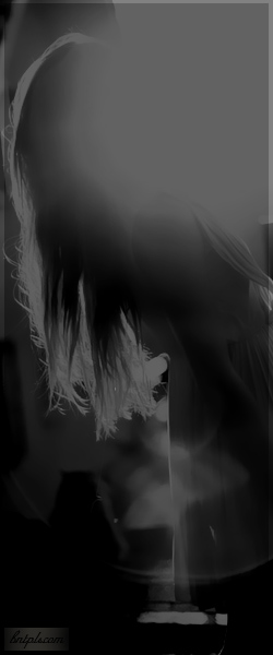 ✿ bntpal.com_144091549