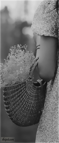  ✿ bntpal.com_144091579