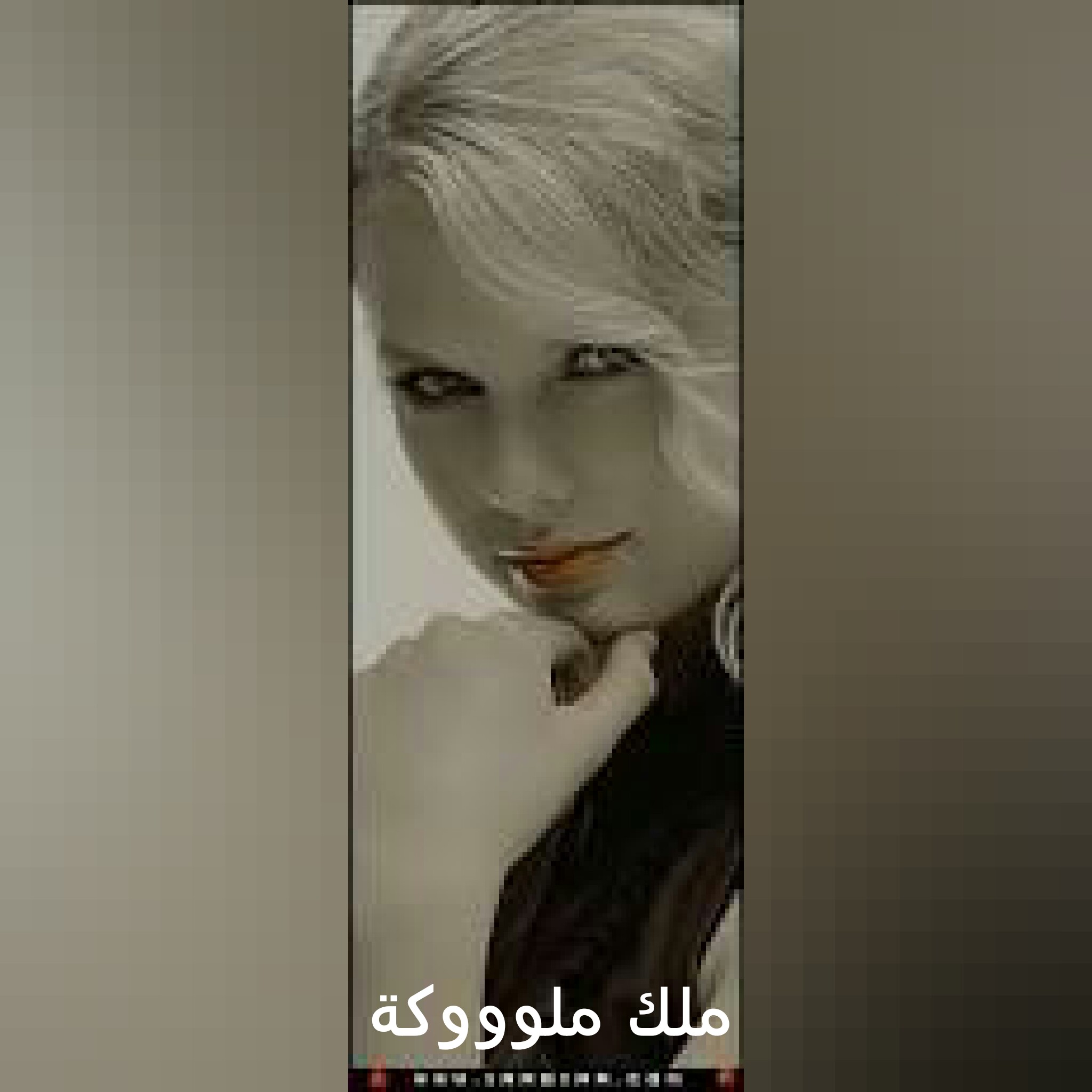   bntpal.com_144128055