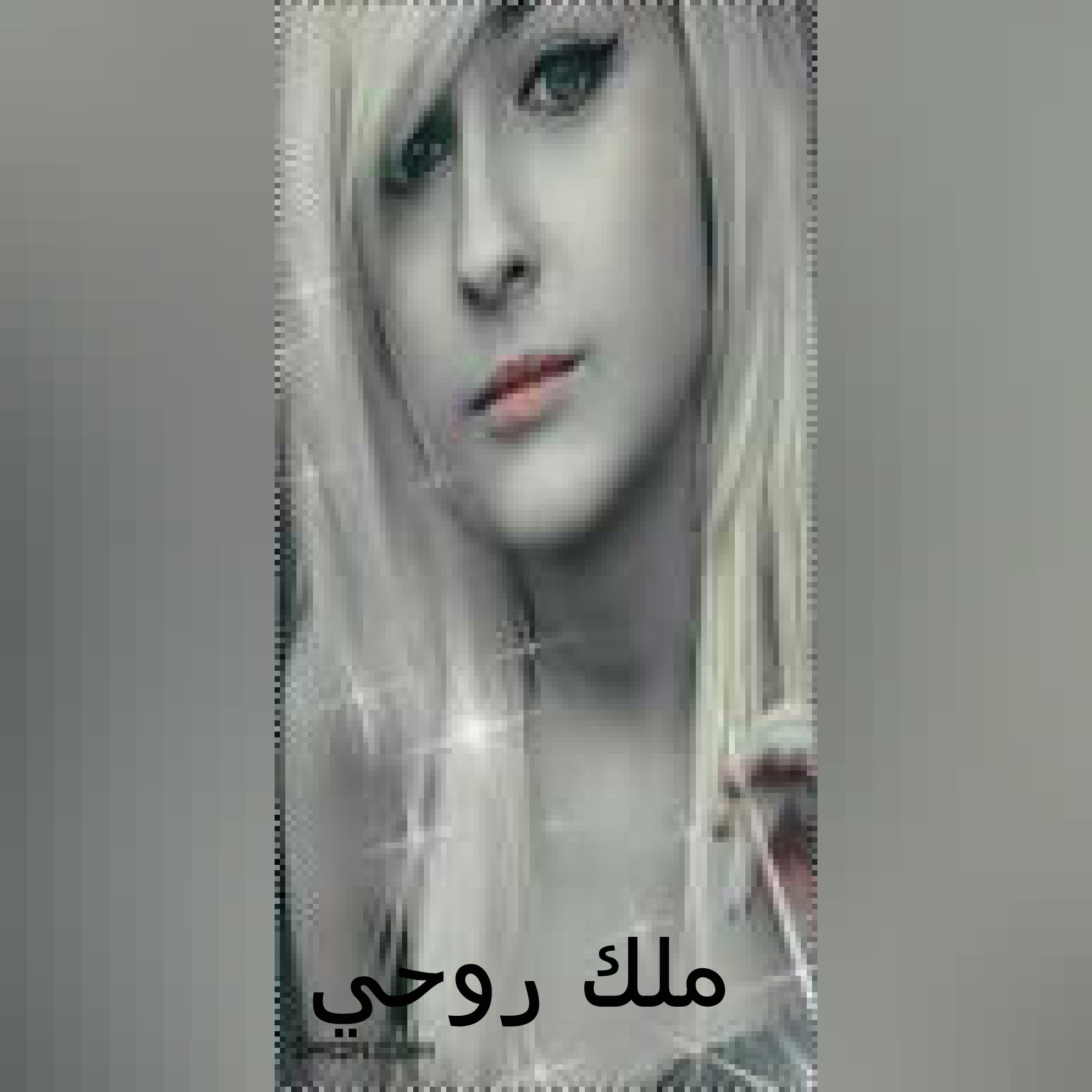   bntpal.com_144128055