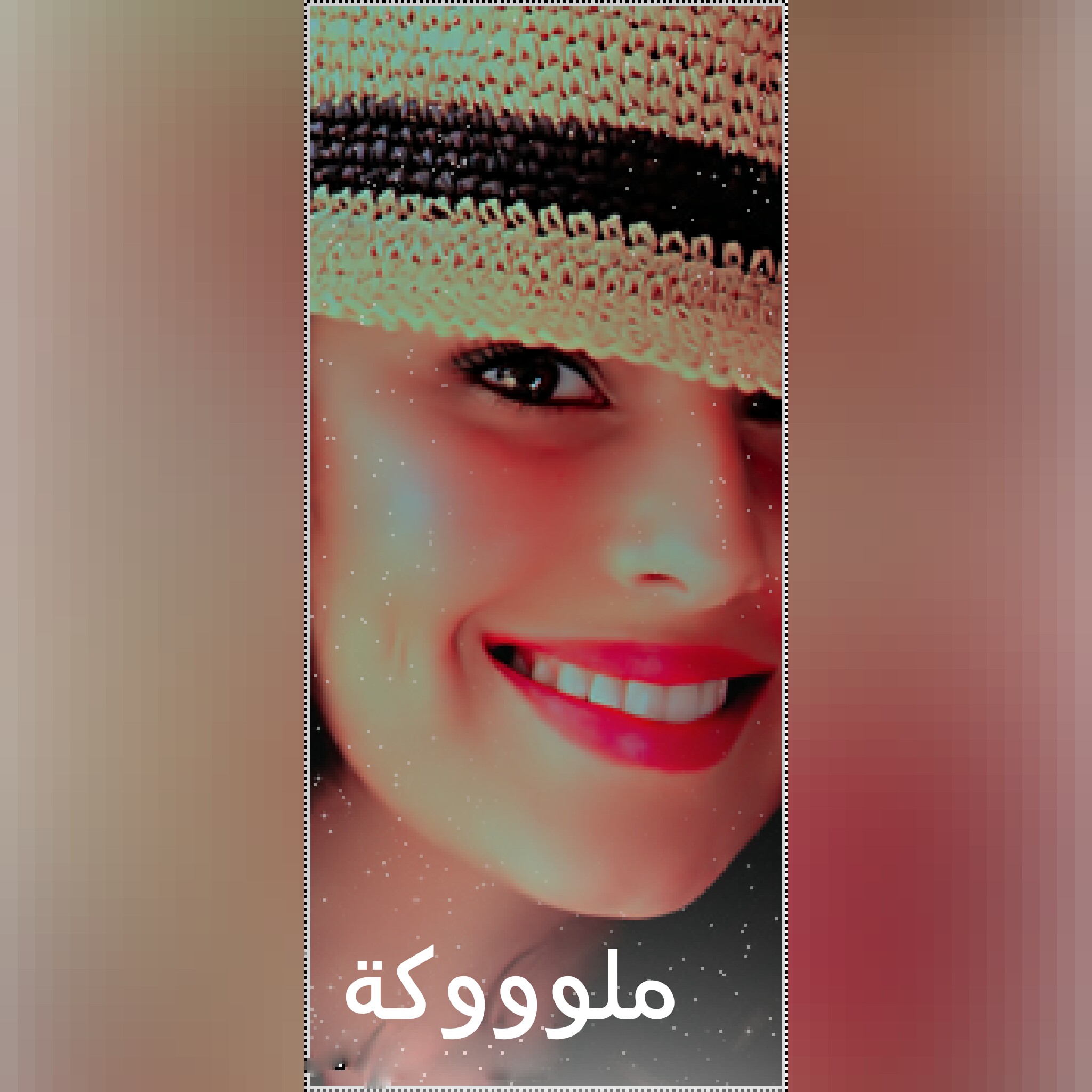   bntpal.com_144128055