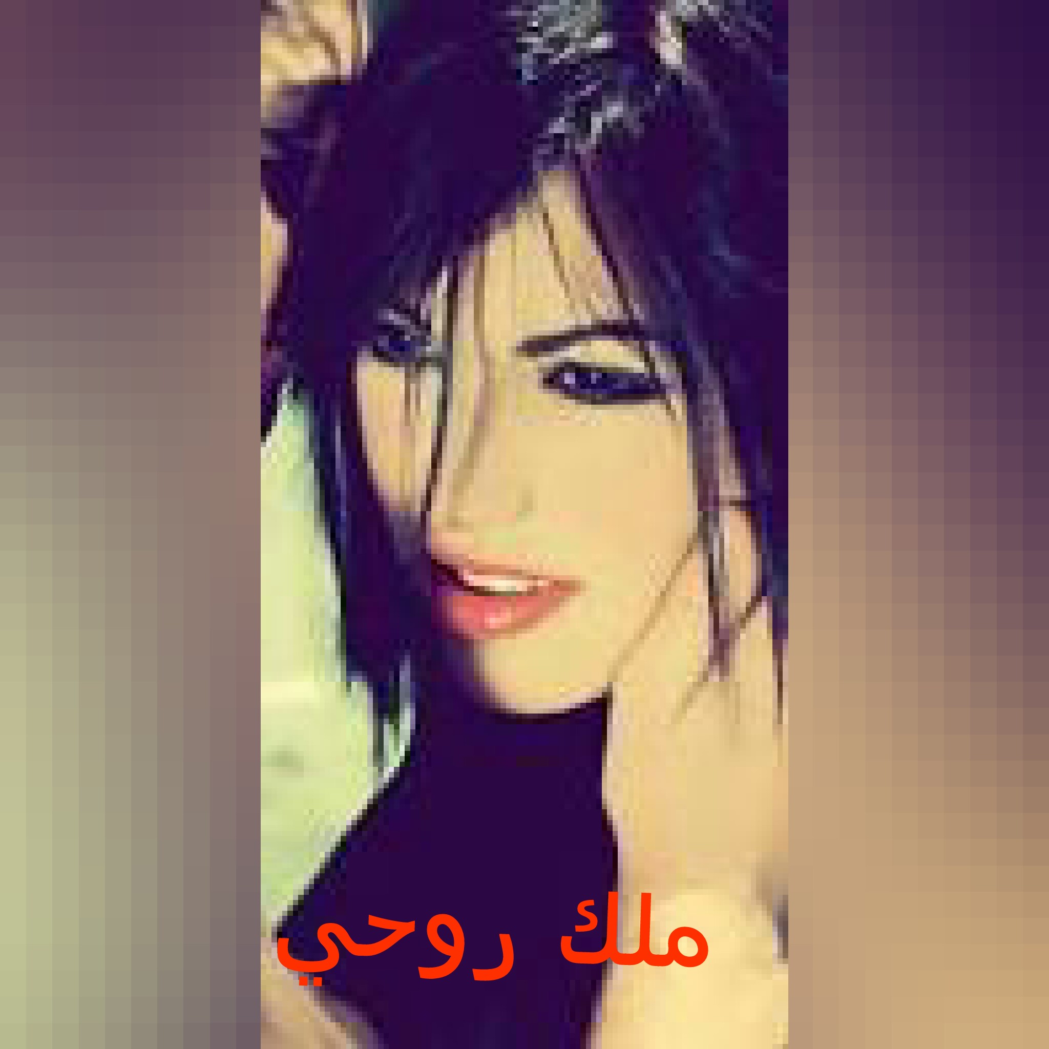   bntpal.com_144128055