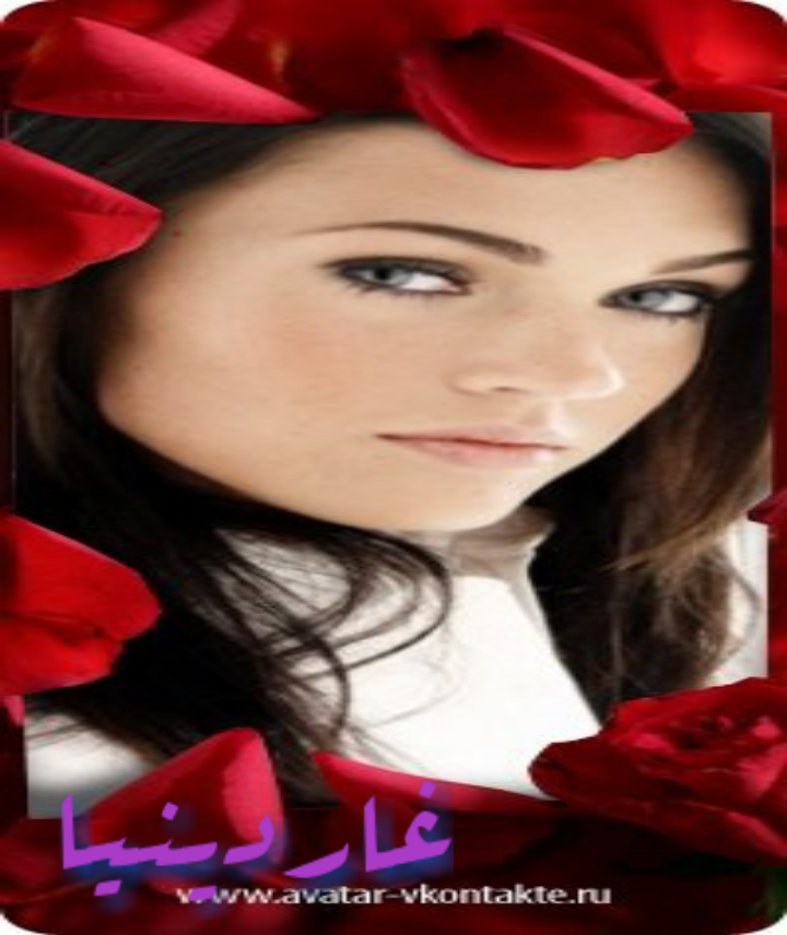  bntpal.com_144136137