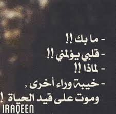 bntpal.com_144140315