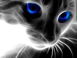 ♥ bntpal.com_144157295