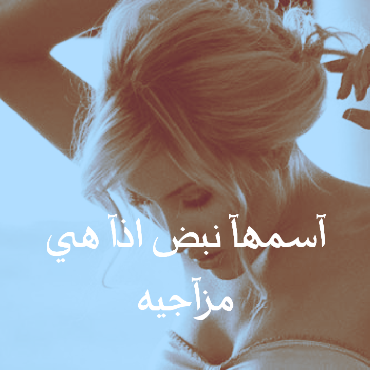 bntpal.com_144179304