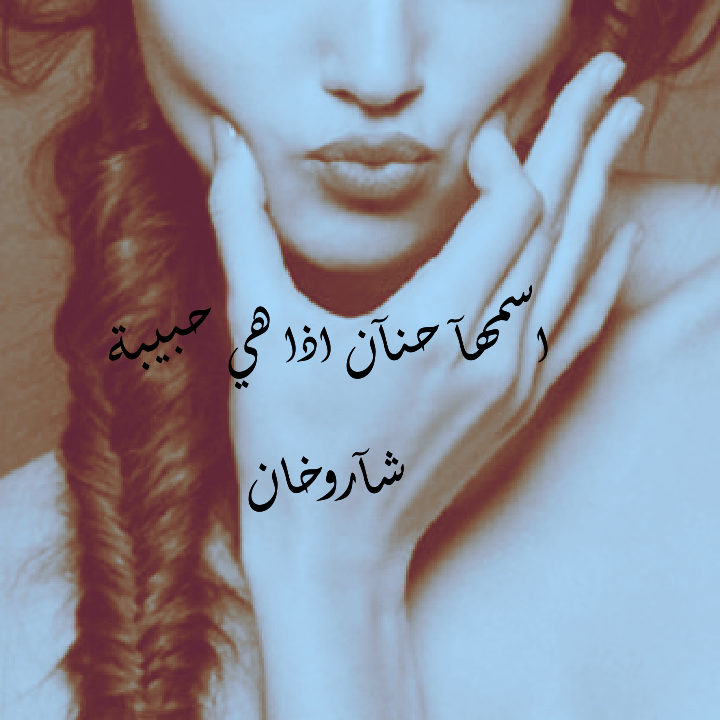 bntpal.com_144179304
