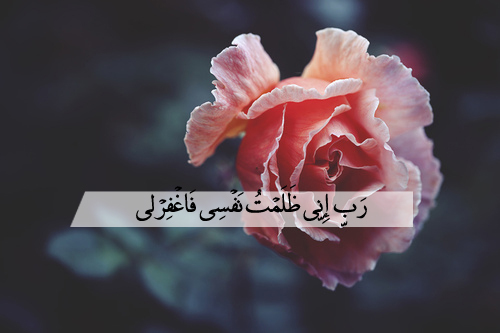 .  bntpal.com_144179814